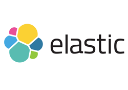 Elastic Search